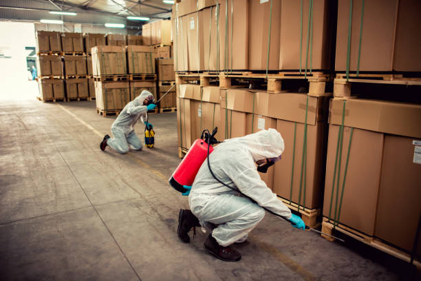 Best Affordable Pest Control Services  in Brielle, NJ