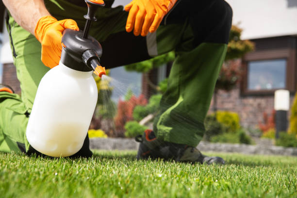 Best Pest Control for Restaurants  in Brielle, NJ