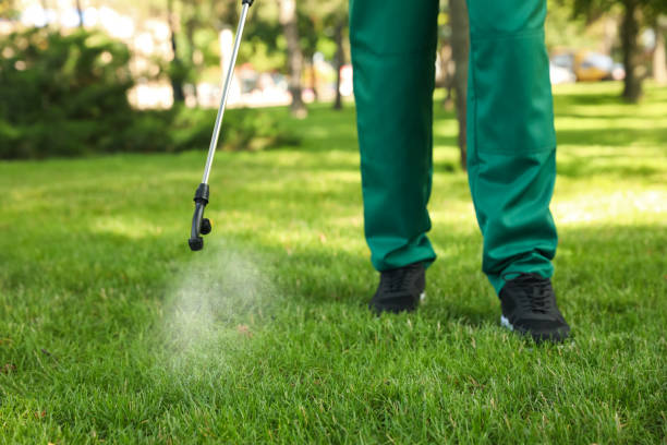 Best Mosquito Control Services  in Brielle, NJ