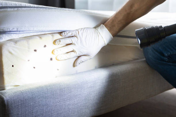 Best Bed Bug Extermination  in Brielle, NJ