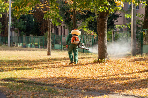Best Pest Control Cost  in Brielle, NJ