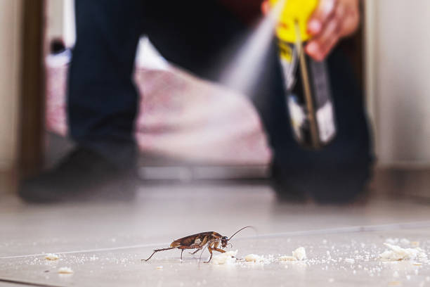 Best Exterminator Services  in Brielle, NJ