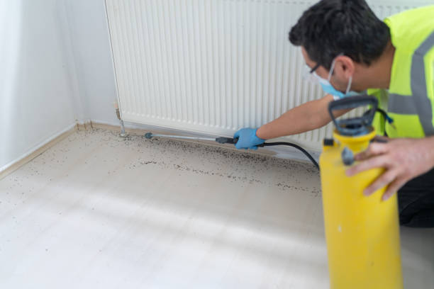Pest Prevention Services in Brielle, NJ