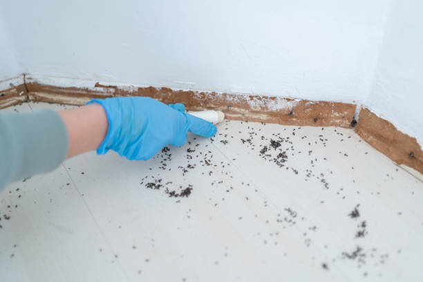 Best Commercial Pest Control Services  in Brielle, NJ