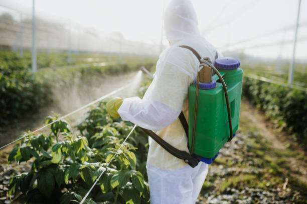 Pest Control Cost in Brielle, NJ